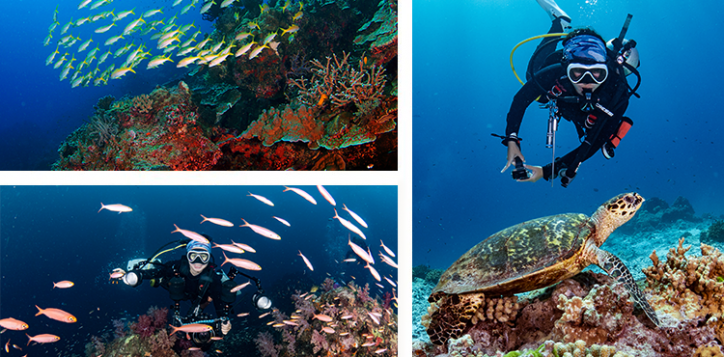 similan-islands-2-2